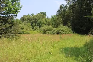 2838 W Trask Lake Rd, Barton City, MI 48705 - Photo 35