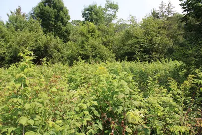 2838 W Trask Lake Rd, Barton City, MI 48705 - Photo 37