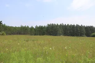 2838 W Trask Lake Rd, Barton City, MI 48705 - Photo 51