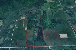 2838 W Trask Lake Rd, Barton City, MI 48705 - Photo 3