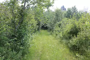 2838 W Trask Lake Rd, Barton City, MI 48705 - Photo 45