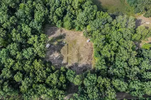 2715 W 13 Mile Rd, Bitely, MI 49309 - Photo 41