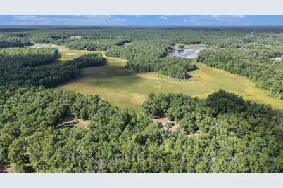 2715 W 13 Mile Road, Bitely, MI 49309 - Photo 43