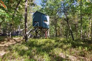 5594 S Peacock Trail, Baldwin, MI 49304 - Photo 49