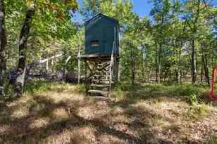 5594 S Peacock Trail, Baldwin, MI 49304 - Photo 53