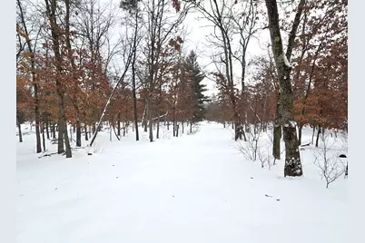 5594 S Peacock Trail, Baldwin, MI 49304 - Photo 9