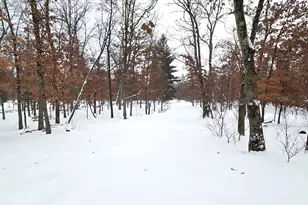 5594 S Peacock Trail, Baldwin, MI 49304 - Photo 9