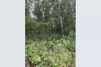 Lot455,456 Coocpa- Lake Miramachi, Evart, MI 49631 - Photo 13