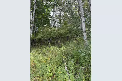 Lot455,456 Coocpa- Lake Miramachi, Evart, MI 49631 - Photo 15