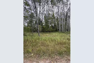 Coocpa- Lake Miramachi #lots 455, 456, Evart, MI 49631 - Photo 1