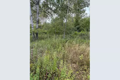 Lot455,456 Coocpa- Lake Miramachi, Evart, MI 49631 - Photo 5