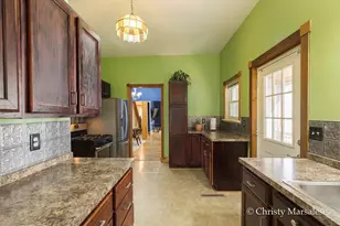 917 S Bridge St, Belding, MI 48809 - Photo 21