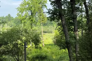 8733 S James Rd, Baldwin, MI 49304 - Photo 5