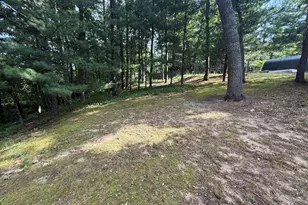 8733 S James Rd, Baldwin, MI 49304 - Photo 15