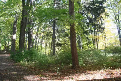 246 Webster Avenue, South Haven, MI 49090 - Photo 1