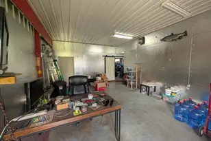 4041 Case Dr, Union City, MI 49094 - Photo 57