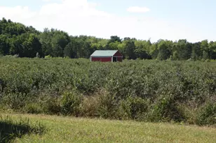 1997 E Townline Rd, Free Soil, MI 49411 - Photo 33