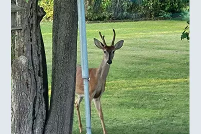 1997 E Townline Road, Free Soil, MI 49411 - Photo 27
