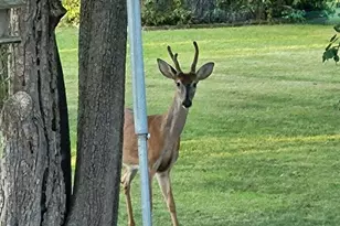 1997 E Townline Rd, Free Soil, MI 49411 - Photo 27