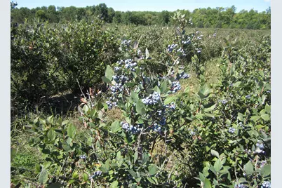 1997 E Townline Road, Free Soil, MI 49411 - Photo 23