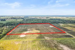1997 E Townline Rd, Free Soil, MI 49411 - Photo 47