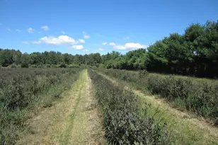 1997 E Townline Rd, Free Soil, MI 49411 - Photo 29