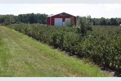 1997 E Townline Road, Free Soil, MI 49411 - Photo 11