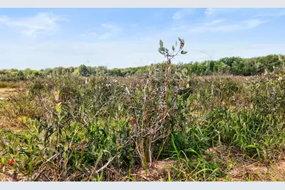 1997 E Townline Road, Free Soil, MI 49411 - Photo 41