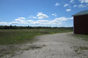 1997 E Townline Rd, Free Soil, MI 49411 - Photo 17