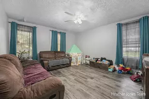 145 N Elizabeth St, Lyons, MI 48851 - Photo 3