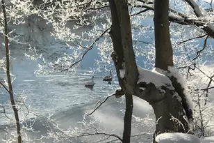 7205 60th St SE, Grand Rapids, MI 49512 - Photo 11