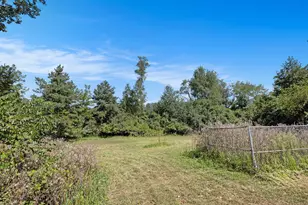 300 Cleveland St, Chelsea, MI 48118 - Photo 13