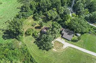 300 Cleveland St, Chelsea, MI 48118 - Photo 3