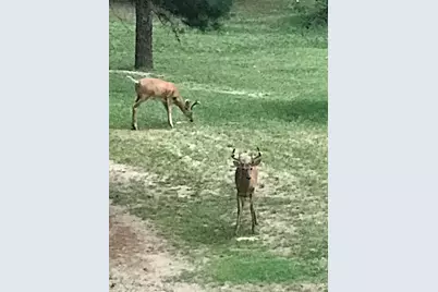 1255 E Chickadee Lane, Luther, MI 49656 - Photo 71