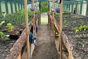 1255 E Chickadee Ln, Luther, MI 49656 - Photo 17