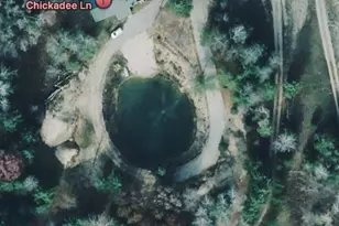 1255 E Chickadee Ln, Luther, MI 49656 - Photo 19