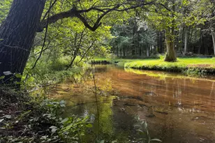 1255 E Chickadee Ln, Luther, MI 49656 - Photo 13