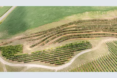 1980 Angling Road, Watervliet, MI 49098 - Photo 11