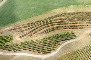 1980 Angling Rd, Watervliet, MI 49098 - Photo 11