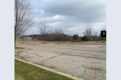 Vl W Washington Street, Greenville, MI 48838 - Photo 3