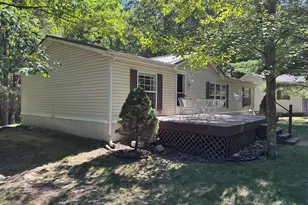 7658 N Johnson Rd, Irons, MI 49644 - Photo 3