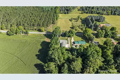 1890 Coral Road NE, Edmore, MI 48829 - Photo 29