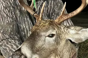 1609 S Sage Lake Rd, Hale, MI 48739 - Photo 135