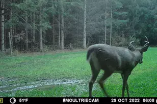 1609 S Sage Lake Rd, Hale, MI 48739 - Photo 151