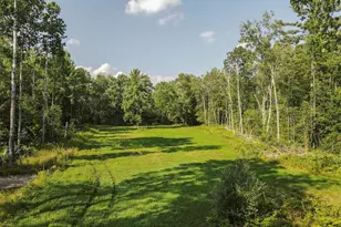 1609 S Sage Lake Rd, Hale, MI 48739 - Photo 51