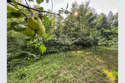 1609 S Sage Lake Road, Hale, MI 48739 - Photo 77