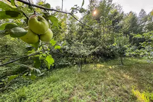 1609 S Sage Lake Rd, Hale, MI 48739 - Photo 77