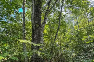 1609 S Sage Lake Rd, Hale, MI 48739 - Photo 65