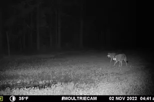 1609 S Sage Lake Rd, Hale, MI 48739 - Photo 157