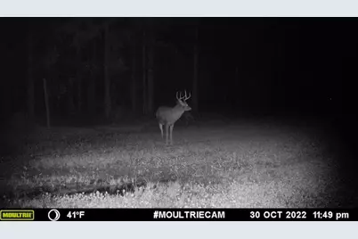 1609 S Sage Lake Road, Hale, MI 48739 - Photo 155